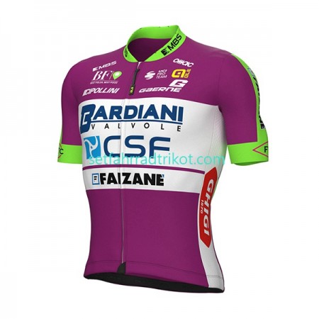 Bardiani-CSF Radtrikot kurzarm 2022 N001
